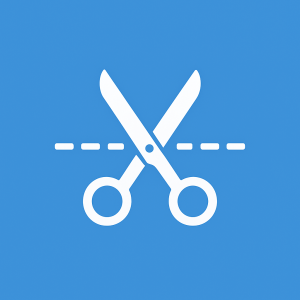 Scissor & Cutting Skill